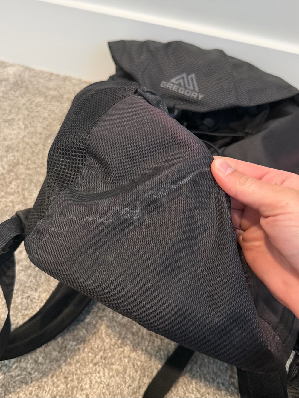 Gregory Nano 22 H2O Backpack Daypack Hiking No Hydration Reservoir - Picture 8 of 13